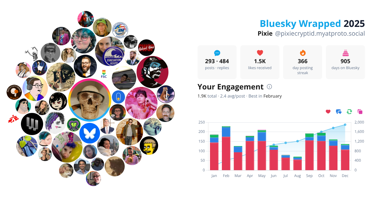 Your Bluesky Wrapped 2025 preview