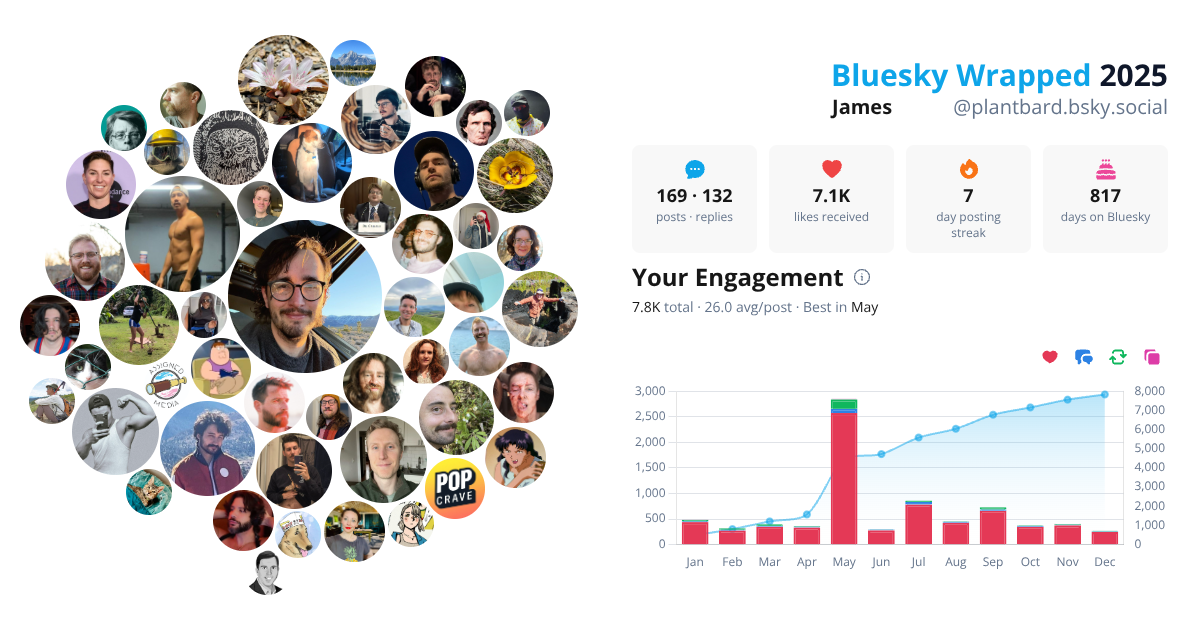 Your Bluesky Wrapped 2025 preview