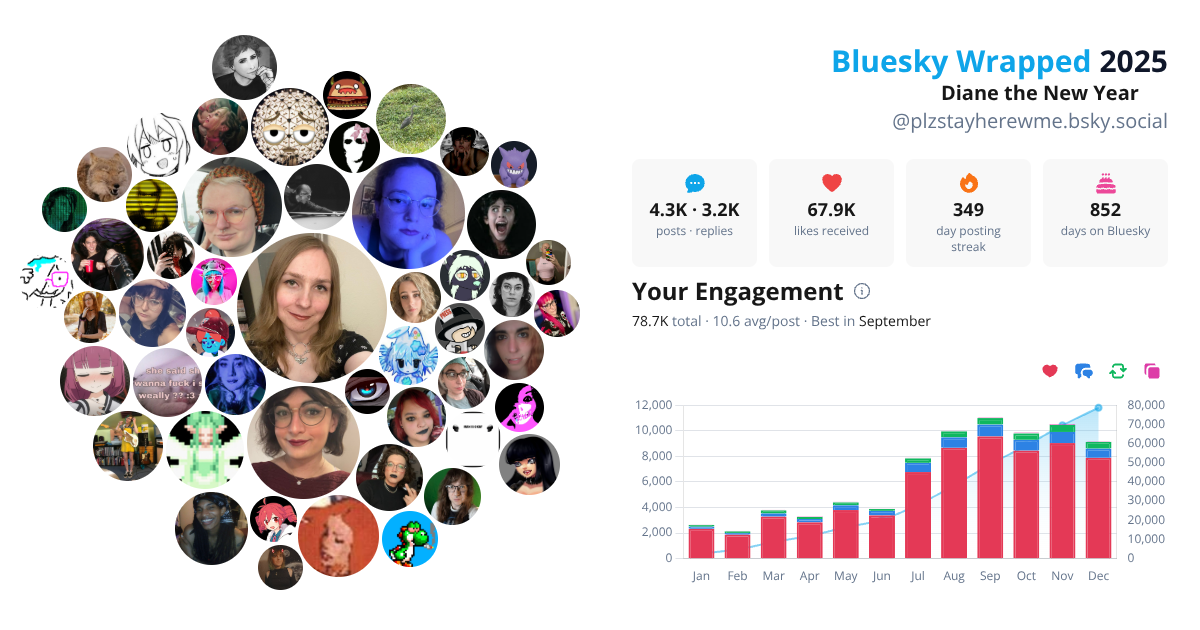 Your Bluesky Wrapped 2025 preview