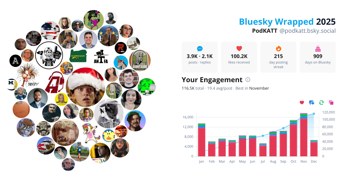 Your Bluesky Wrapped 2025 preview