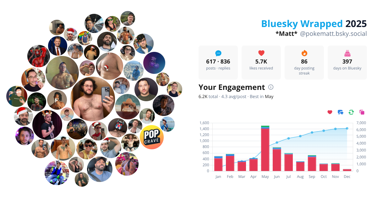 Your Bluesky Wrapped 2025 preview