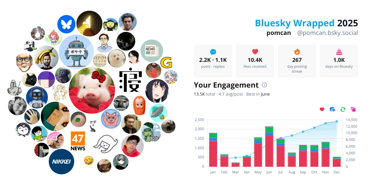 Your Bluesky Wrapped 2025 preview