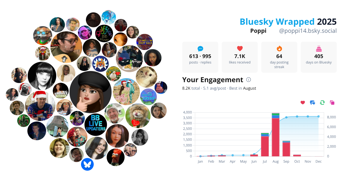 Your Bluesky Wrapped 2025 preview