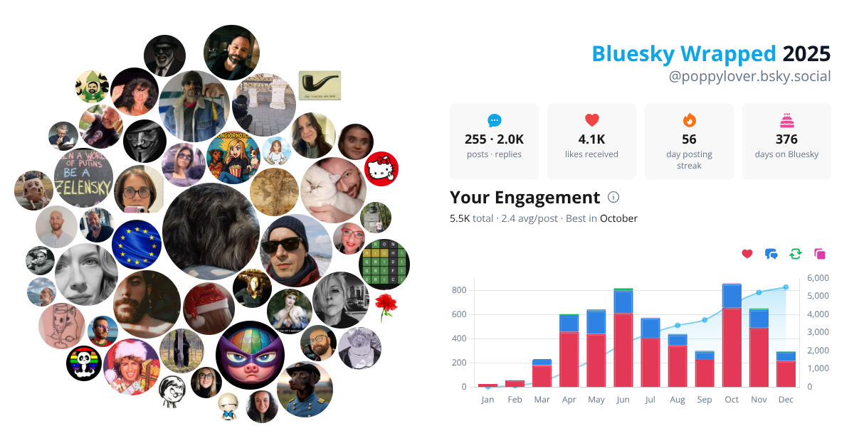Your Bluesky Wrapped 2025 preview