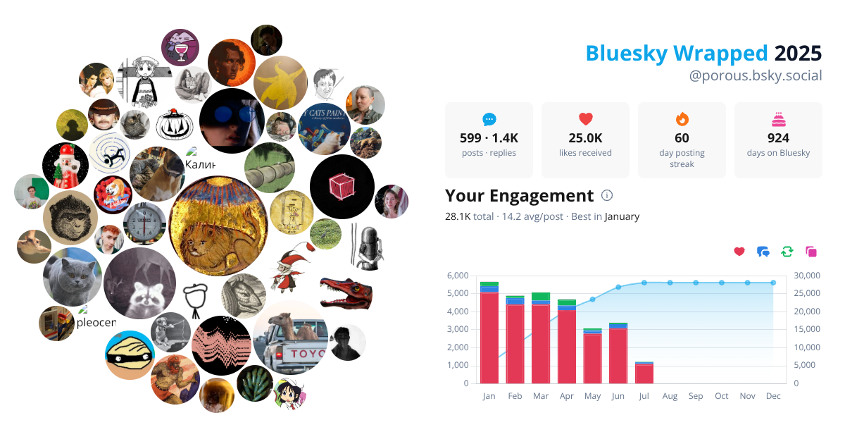 Your Bluesky Wrapped 2025 preview