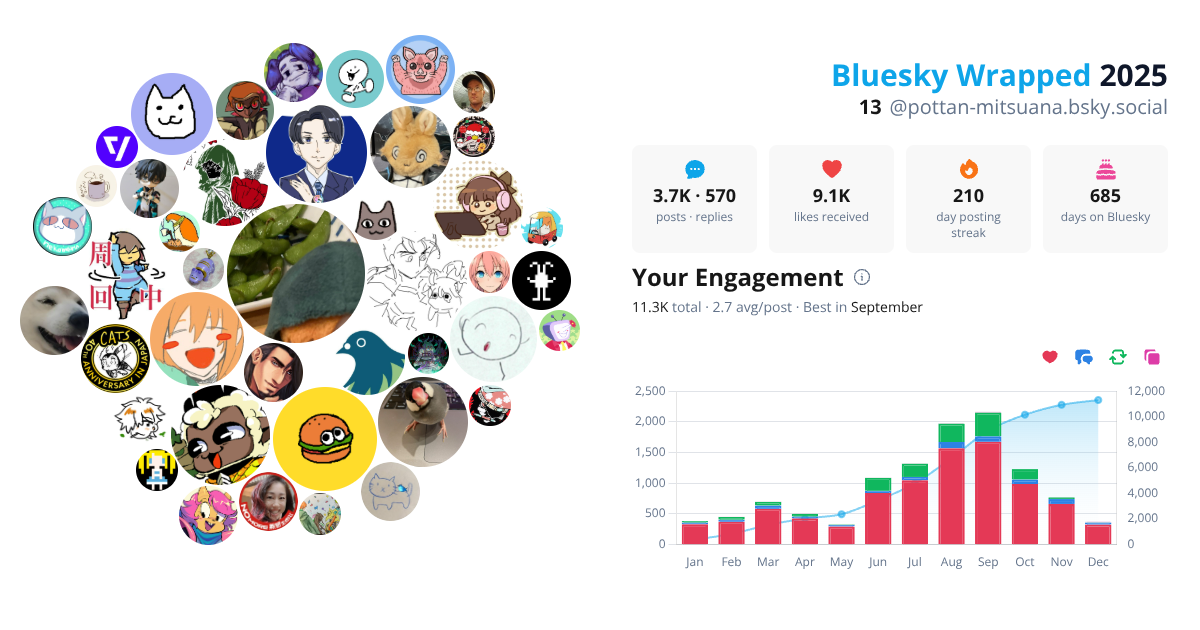 Your Bluesky Wrapped 2025 preview