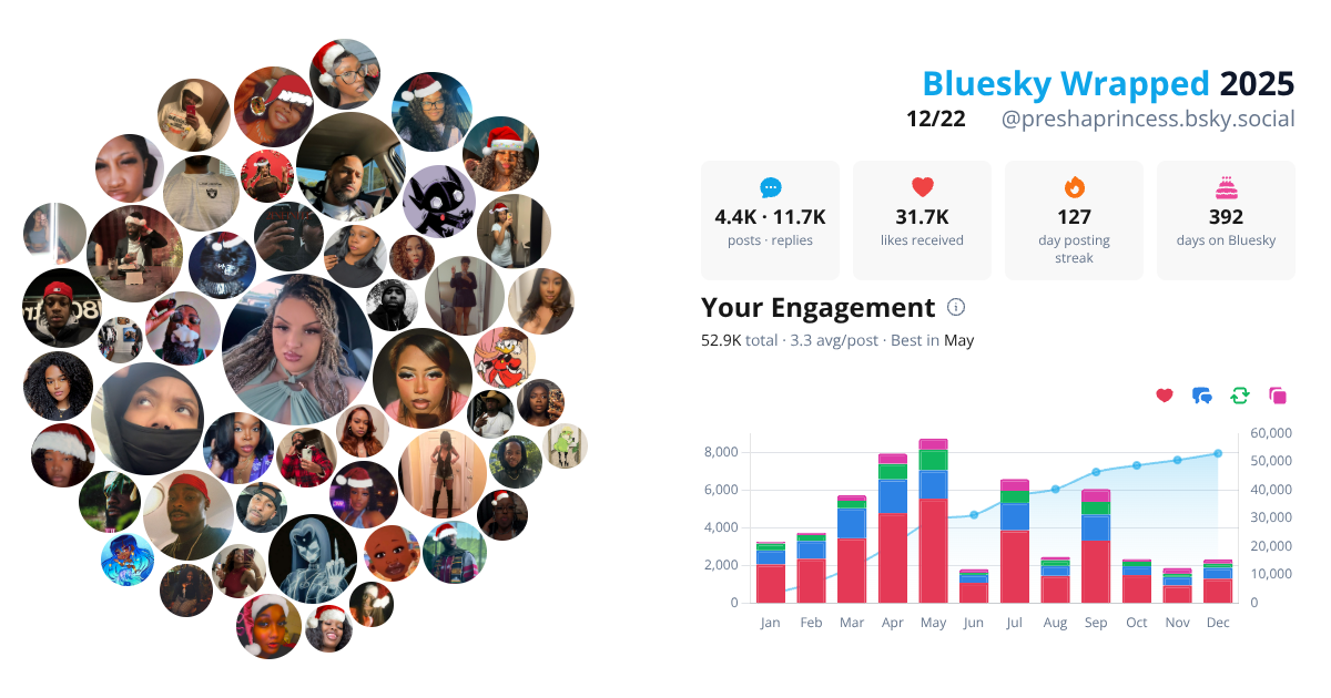Your Bluesky Wrapped 2025 preview