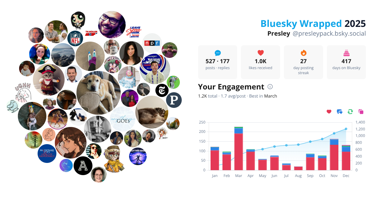 Your Bluesky Wrapped 2025 preview