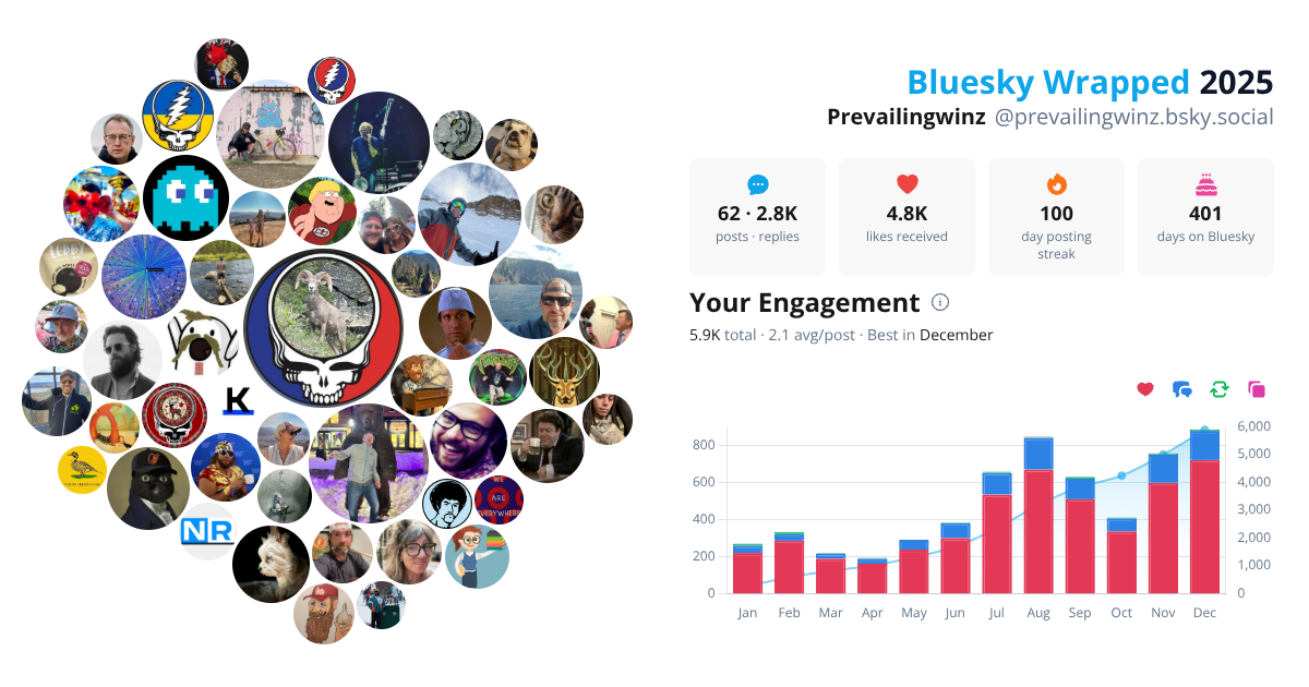 Your Bluesky Wrapped 2025 preview