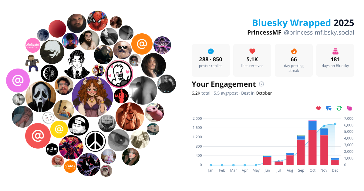 Your Bluesky Wrapped 2025 preview
