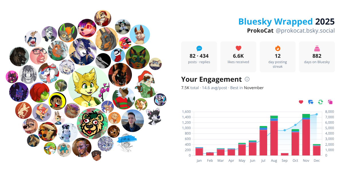 Your Bluesky Wrapped 2025 preview