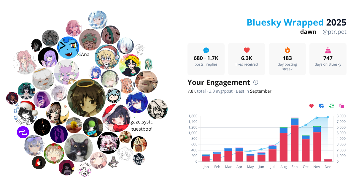 Your Bluesky Wrapped 2025 preview