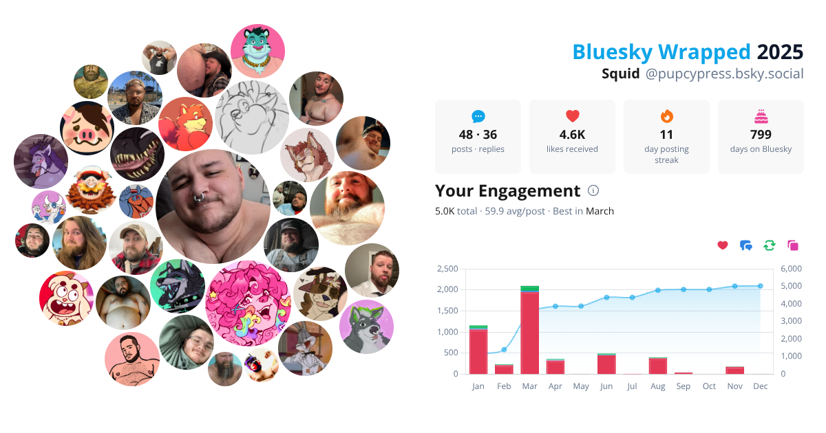 Your Bluesky Wrapped 2025 preview
