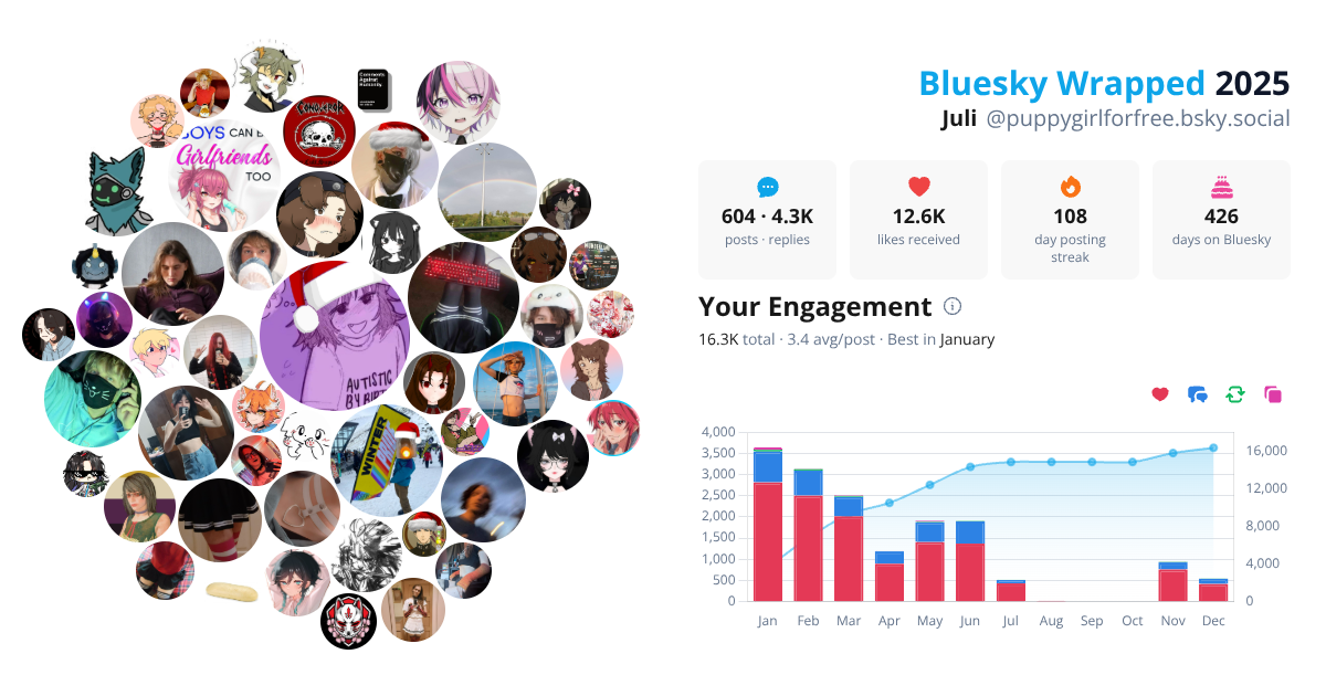 Your Bluesky Wrapped 2025 preview