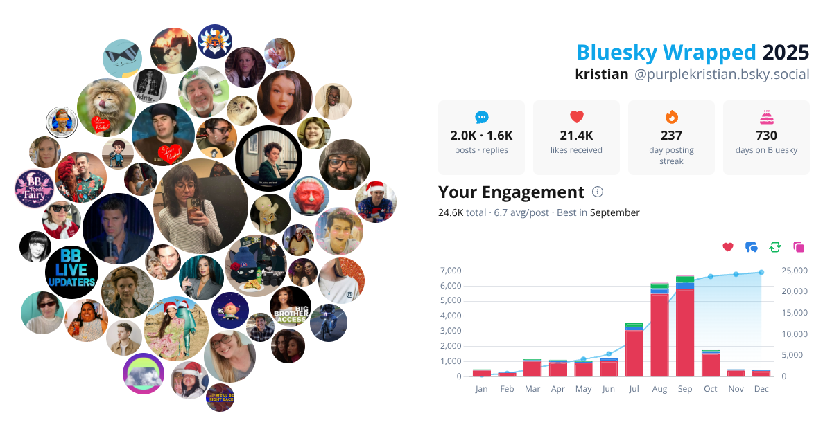 Your Bluesky Wrapped 2025 preview