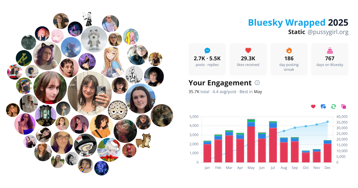 Your Bluesky Wrapped 2025 preview
