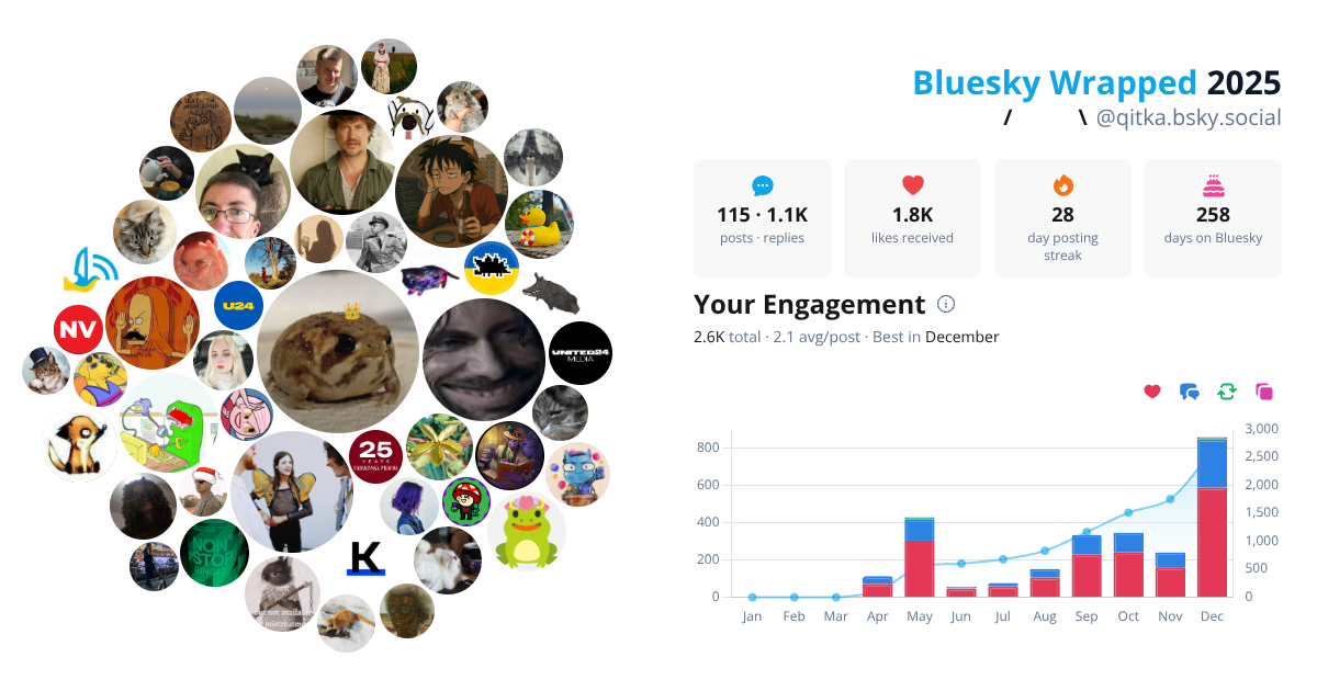 Your Bluesky Wrapped 2025 preview