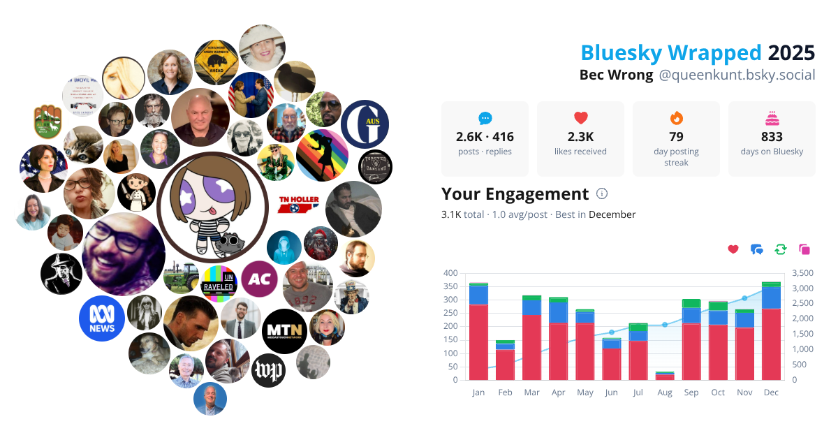 Your Bluesky Wrapped 2025 preview