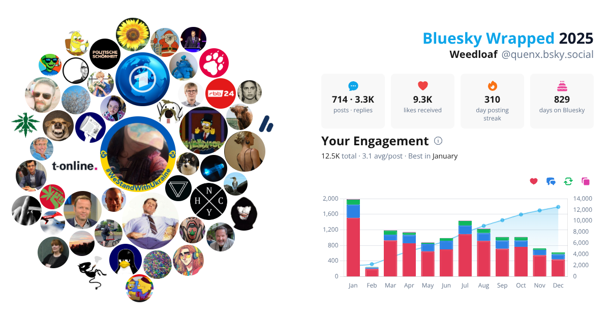 Your Bluesky Wrapped 2025 preview