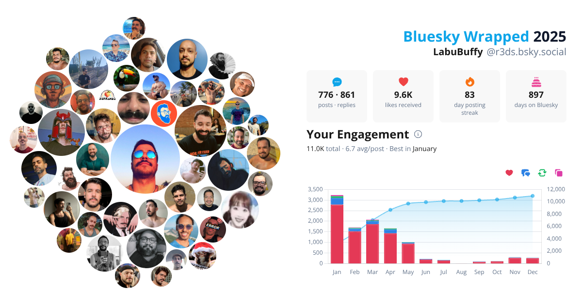 Your Bluesky Wrapped 2025 preview