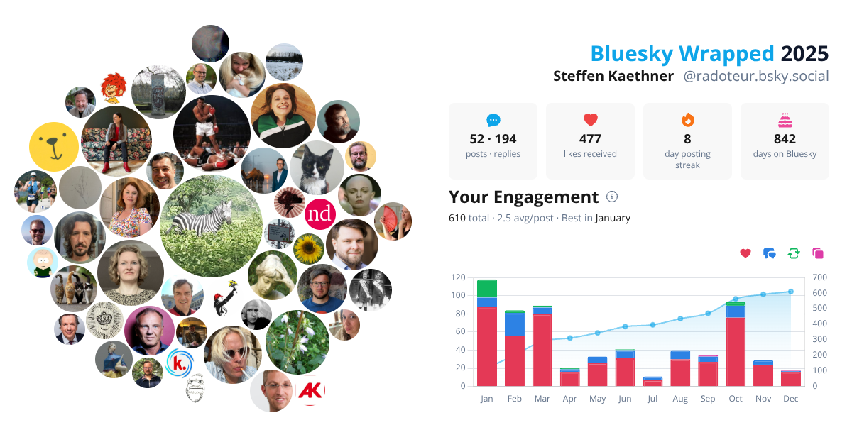 Your Bluesky Wrapped 2025 preview
