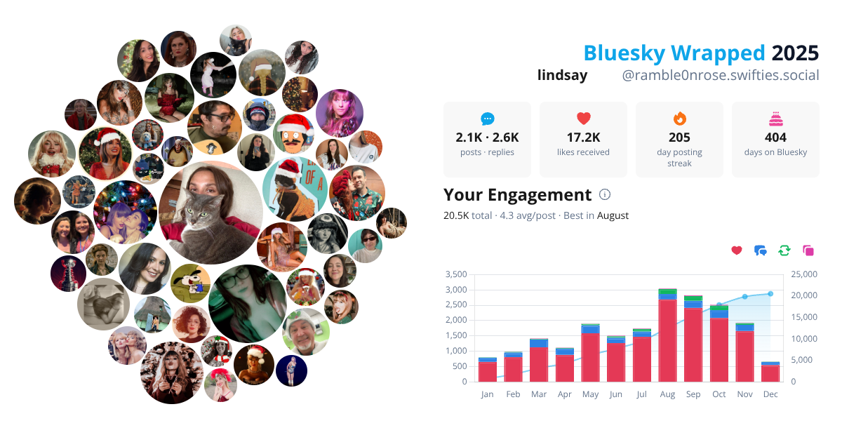 Your Bluesky Wrapped 2025 preview