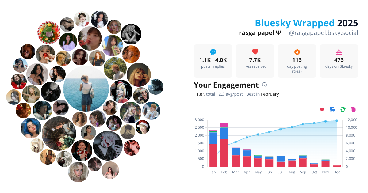Your Bluesky Wrapped 2025 preview