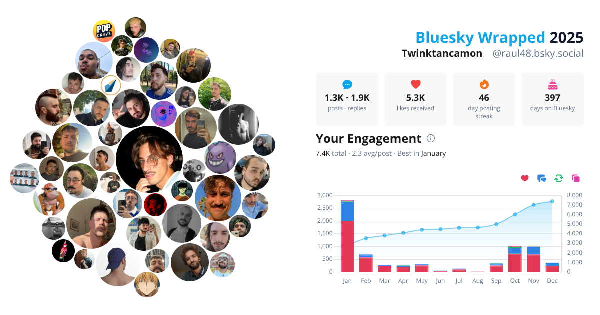 Your Bluesky Wrapped 2025 preview