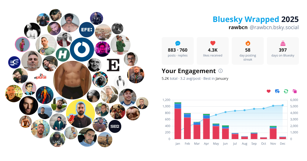 Your Bluesky Wrapped 2025 preview