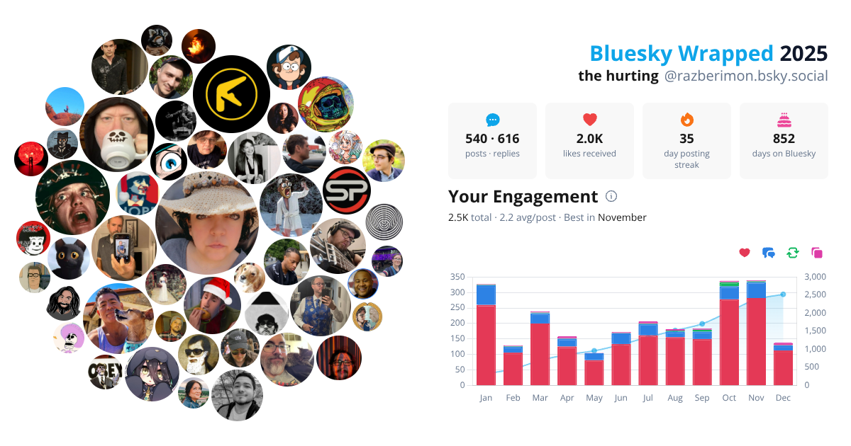 Your Bluesky Wrapped 2025 preview