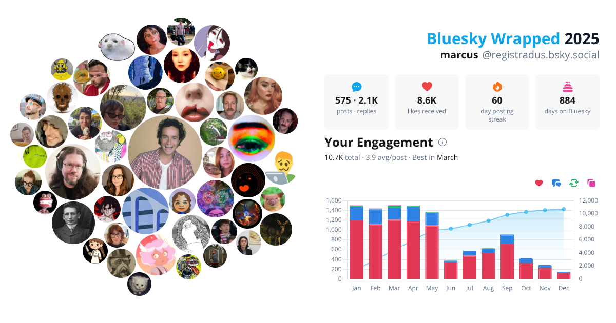 Your Bluesky Wrapped 2025 preview