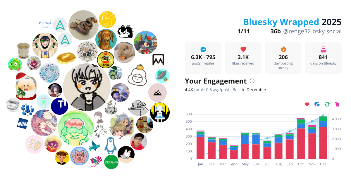 Your Bluesky Wrapped 2025 preview