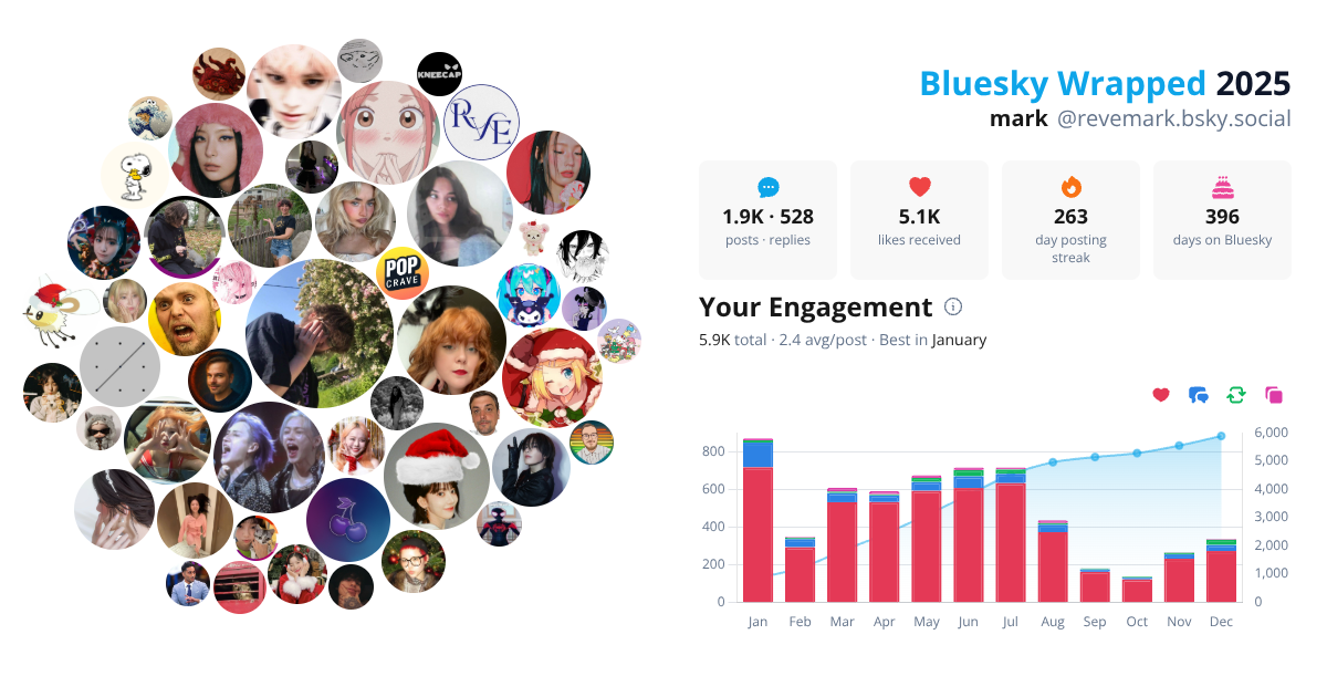 Your Bluesky Wrapped 2025 preview