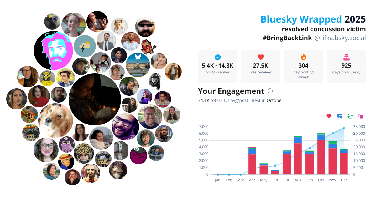 Your Bluesky Wrapped 2025 preview