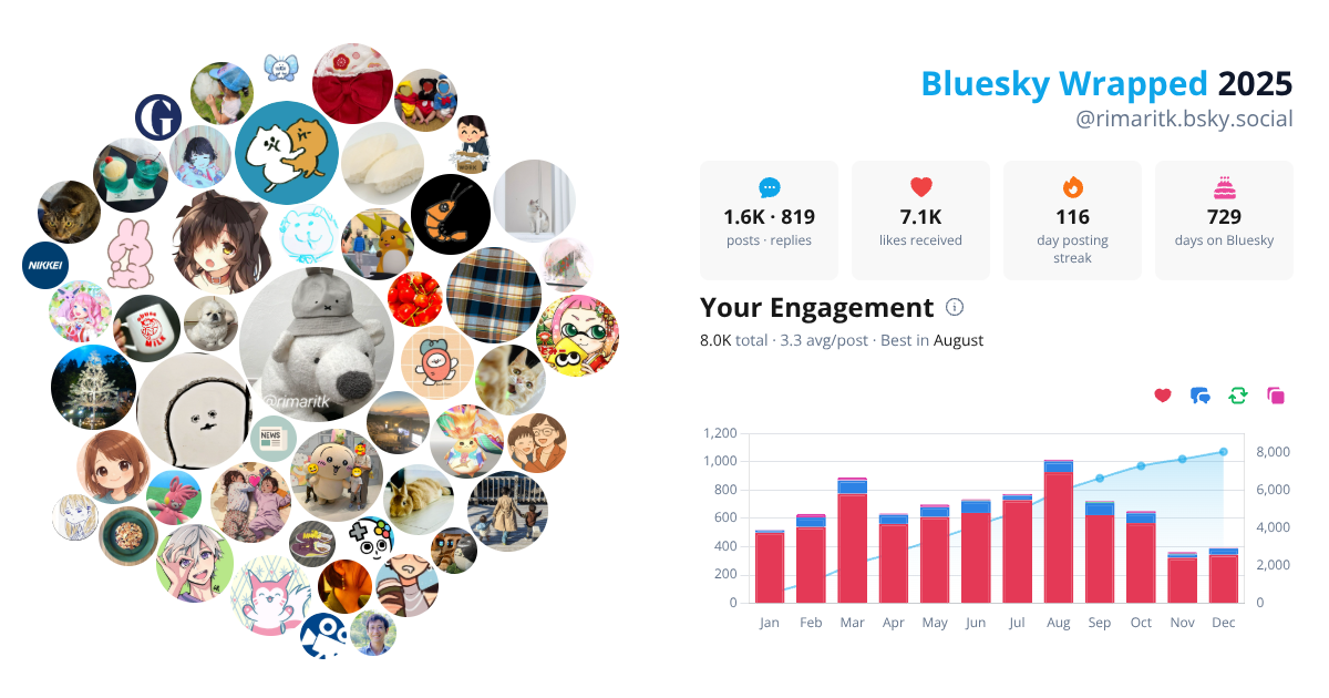 Your Bluesky Wrapped 2025 preview