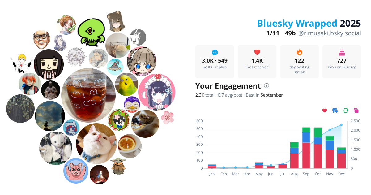 Your Bluesky Wrapped 2025 preview