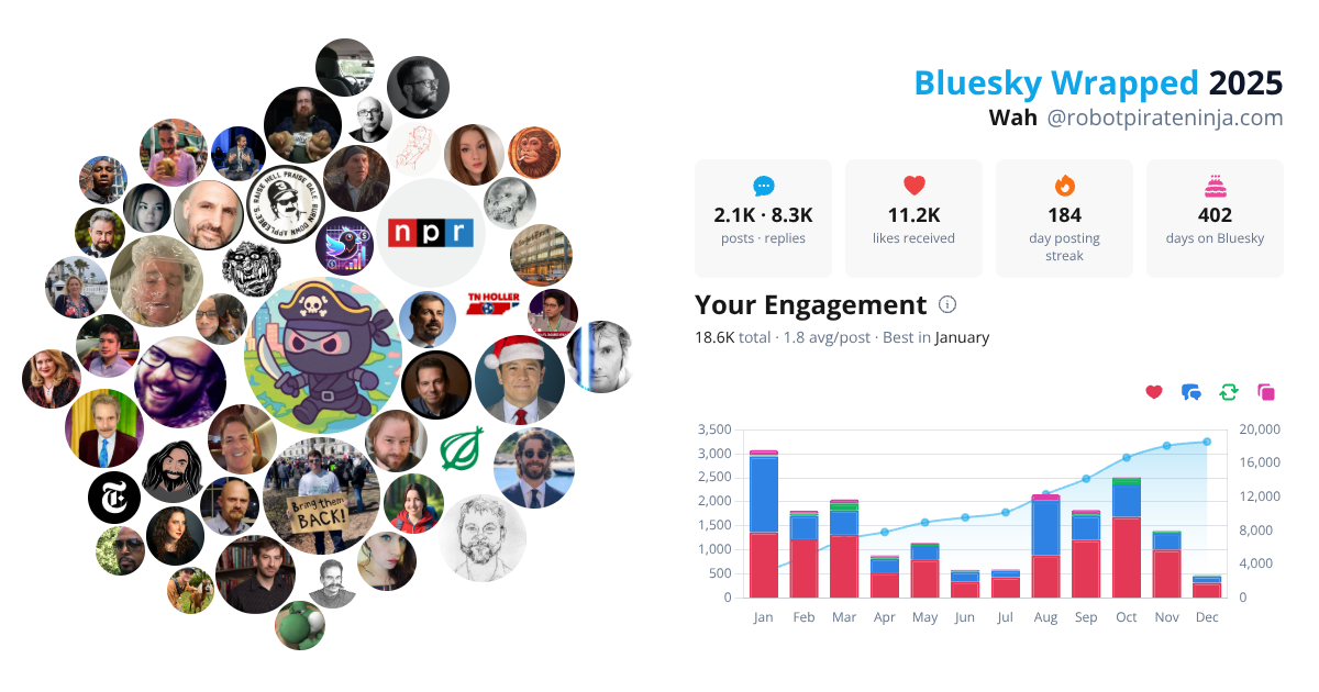 Your Bluesky Wrapped 2025 preview