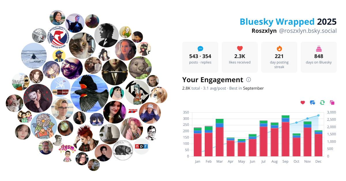 Your Bluesky Wrapped 2025 preview
