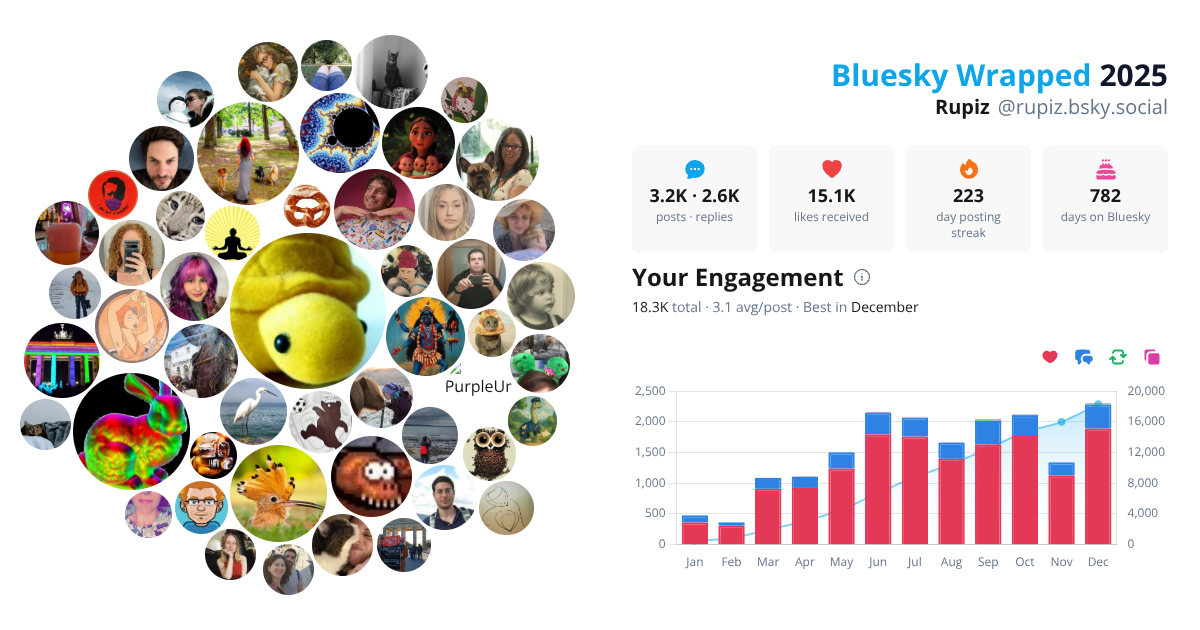 Your Bluesky Wrapped 2025 preview