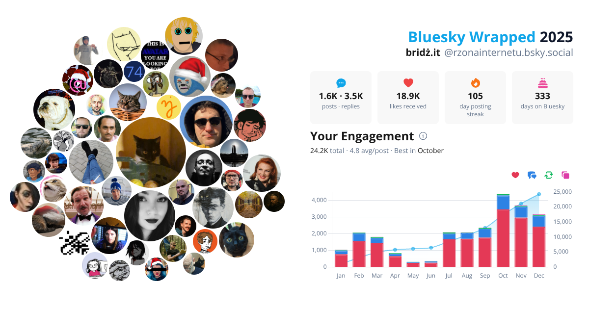 Your Bluesky Wrapped 2025 preview