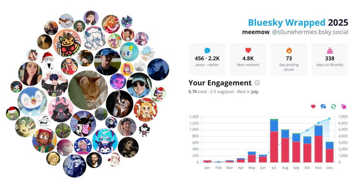 Your Bluesky Wrapped 2025 preview