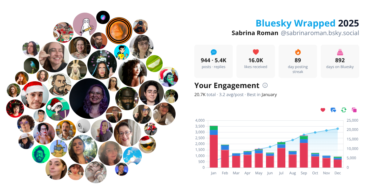 Your Bluesky Wrapped 2025 preview