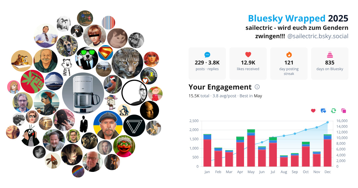 Your Bluesky Wrapped 2025 preview