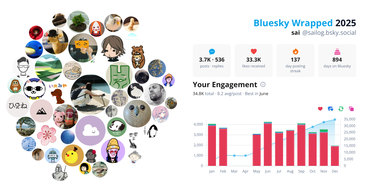 Your Bluesky Wrapped 2025 preview