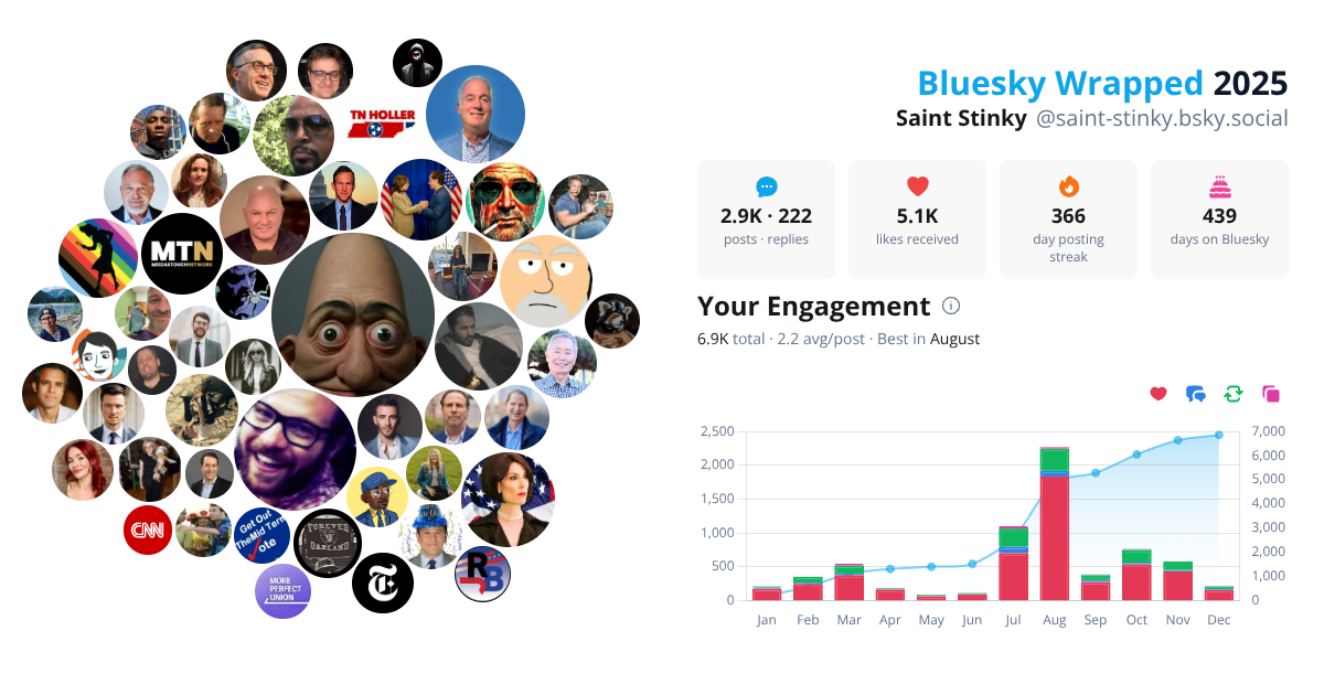 Your Bluesky Wrapped 2025 preview