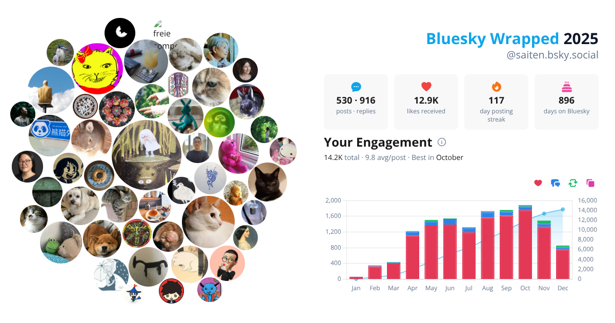 Your Bluesky Wrapped 2025 preview