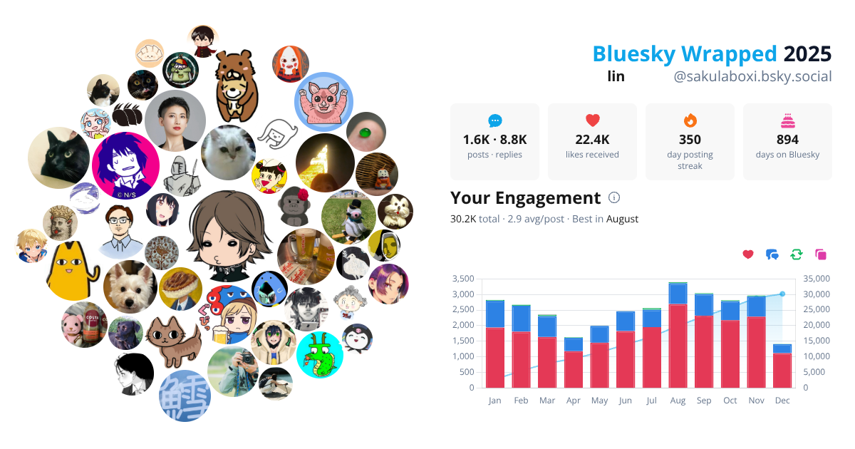 Your Bluesky Wrapped 2025 preview