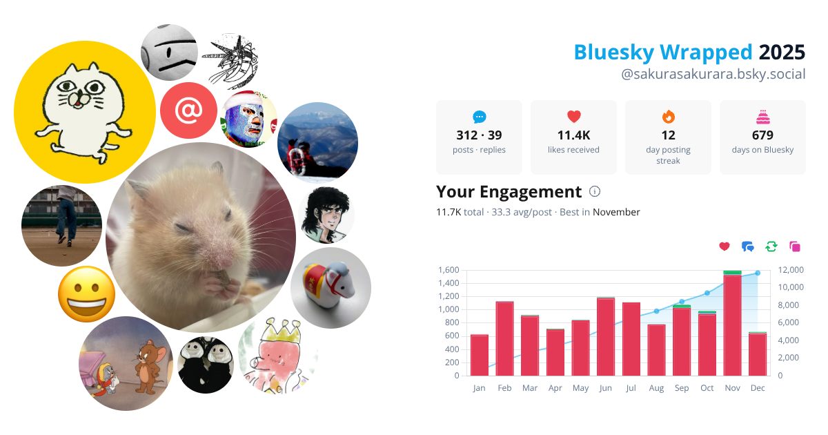 Your Bluesky Wrapped 2025 preview