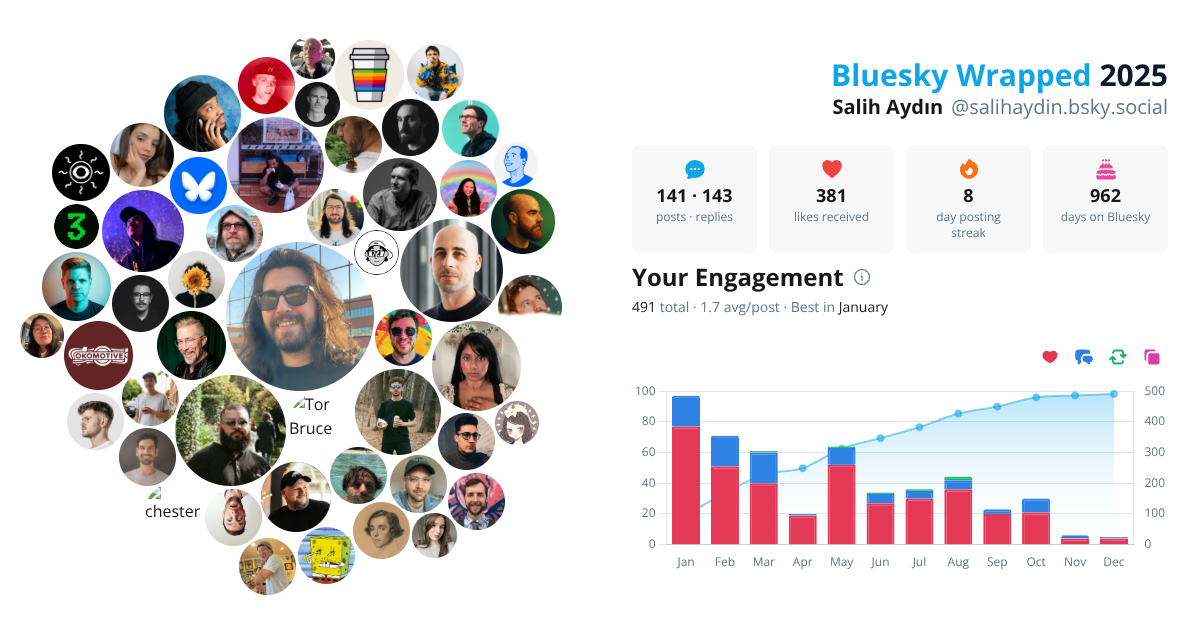Your Bluesky Wrapped 2025 preview