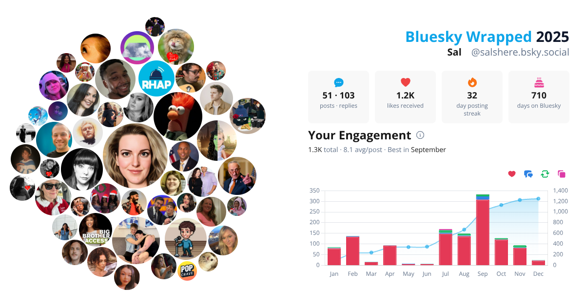 Your Bluesky Wrapped 2025 preview